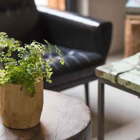 Hotel Home Arcachon فندق